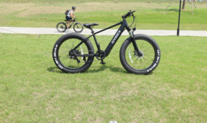 fat tire ebike on the grass